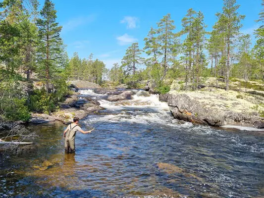 Andreas Riedl - Pesca tenkara: guía completa para empezar