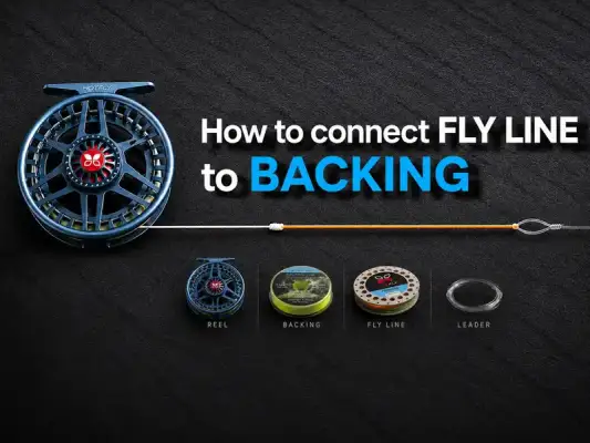 Conectar backing con la línea de mosca - Conectar backing y línea de mosca: nudos y consejos