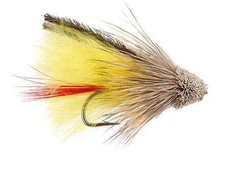 Yellow Marabou