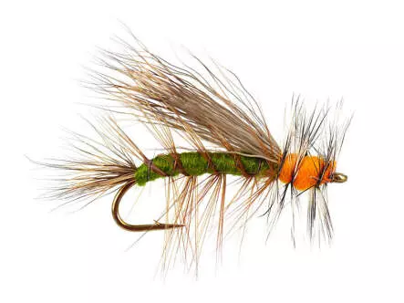 Stimulator Olive