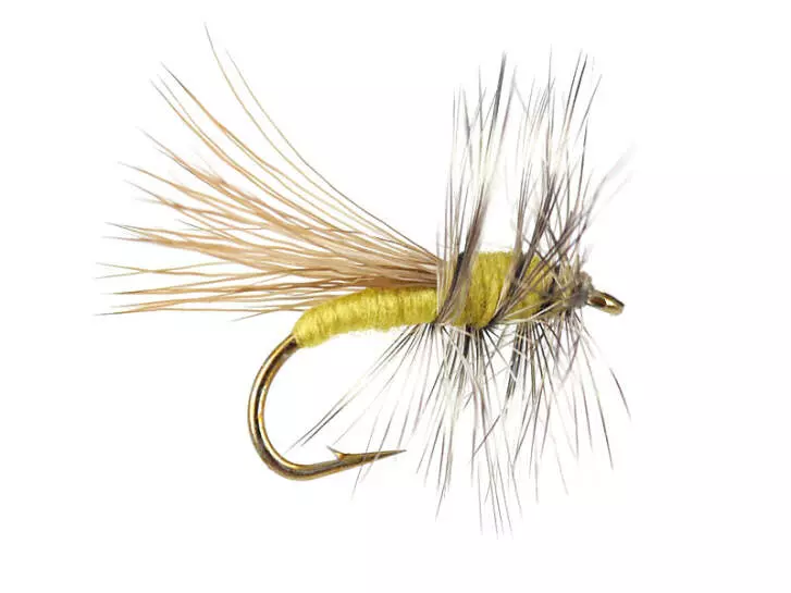 Yellow Sally