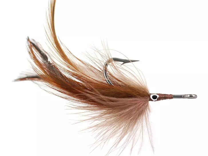 Brown Catcher