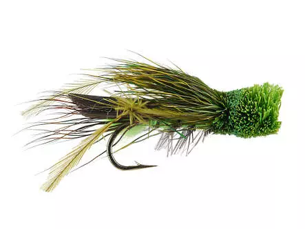 Green Cicada