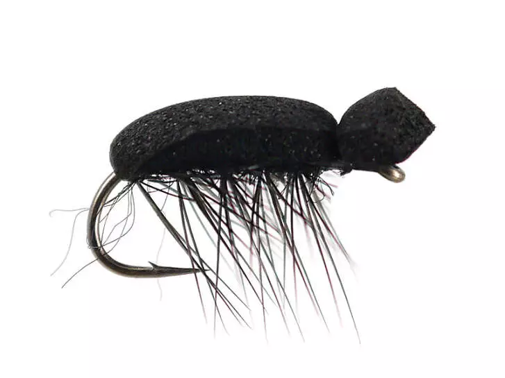 Tonis Foam Beetle