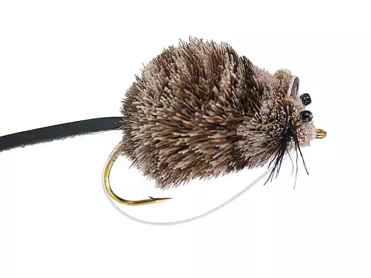 Grey Mouse