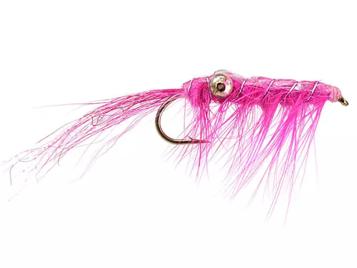 Glimmershrimp Pink