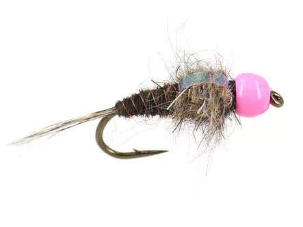 TG Red Neck Pheasant Tail