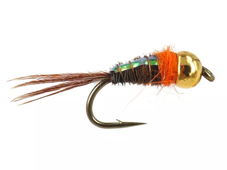 TG Tinsel Pheasant O Nymph