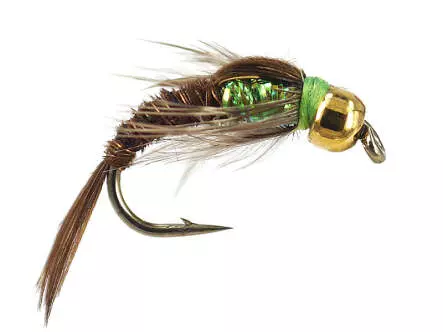 Ales TG Verdina Pheasant