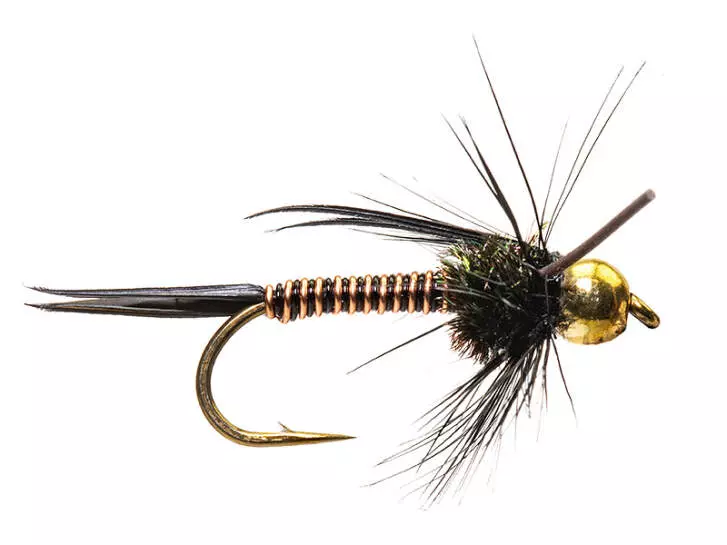 TG Black Prince
