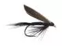 Black Gnat