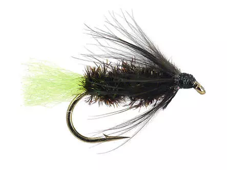 Peacock Spider Green Tag