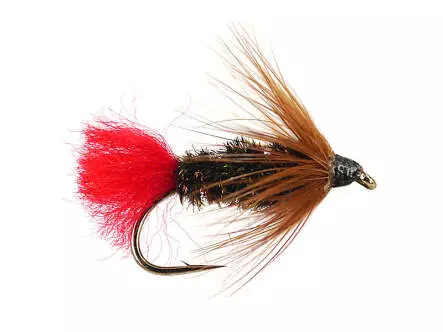 Brown Hackle Peacock