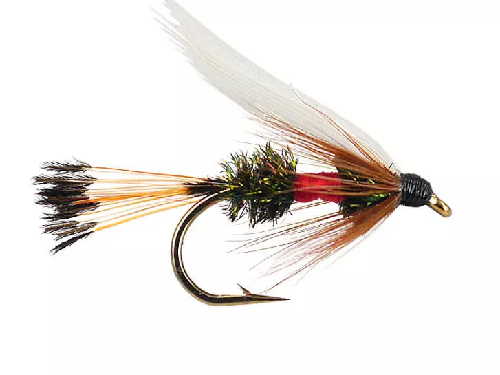 Royal Coachman