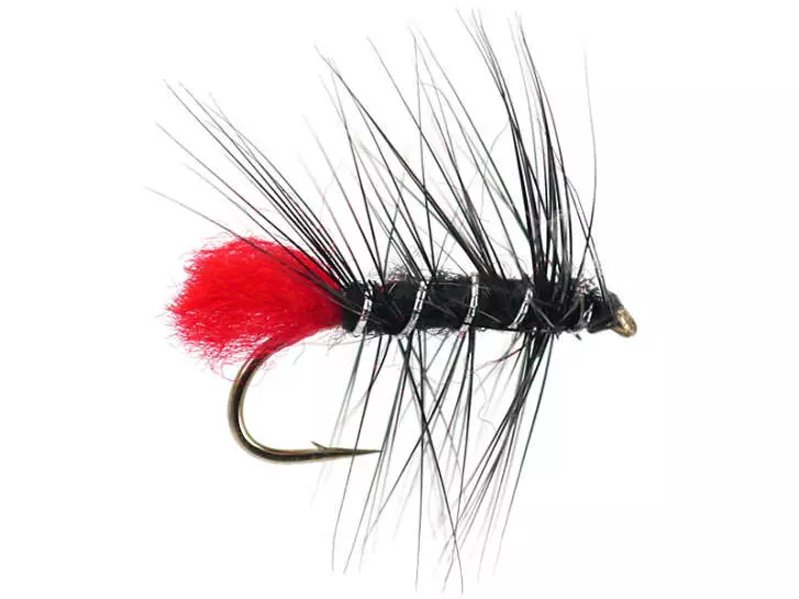 Black Zulu