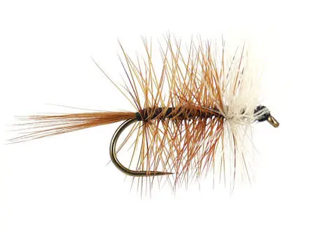 Brown Bivisible BL 14