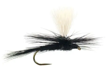 Parachute Black Gnat BL 14