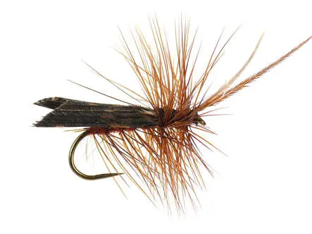 Brown Horned Roof Wing BL 10