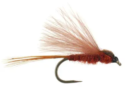 CDC Brown BL 14