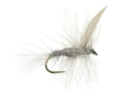 CDC Blue Dun BL 14