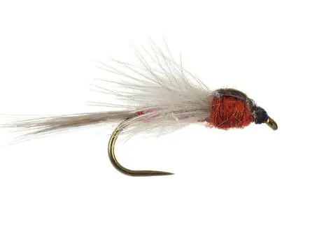 CDC Brown Spent BL 18
