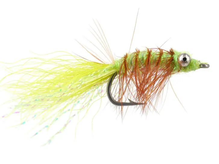 Spawning Shrimp Chart 8