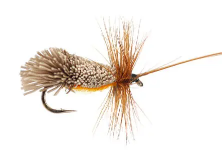 Goddards Caddis Orange 10