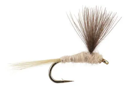 CDC Natural 16