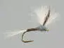 CDC Quill Gordon 12