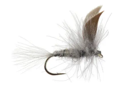 CDC Blue Dun Dry 16