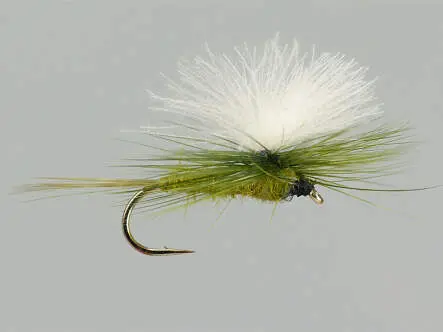 CDC Parachute Olive 16