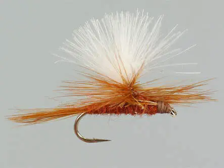 CDC Parachute Brown 12