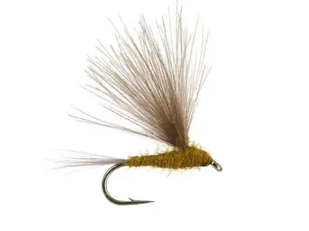 CDC Light Olive 16
