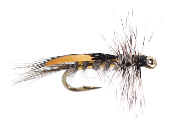 JC Jassid Variant Grayling Grey Grizzly 14