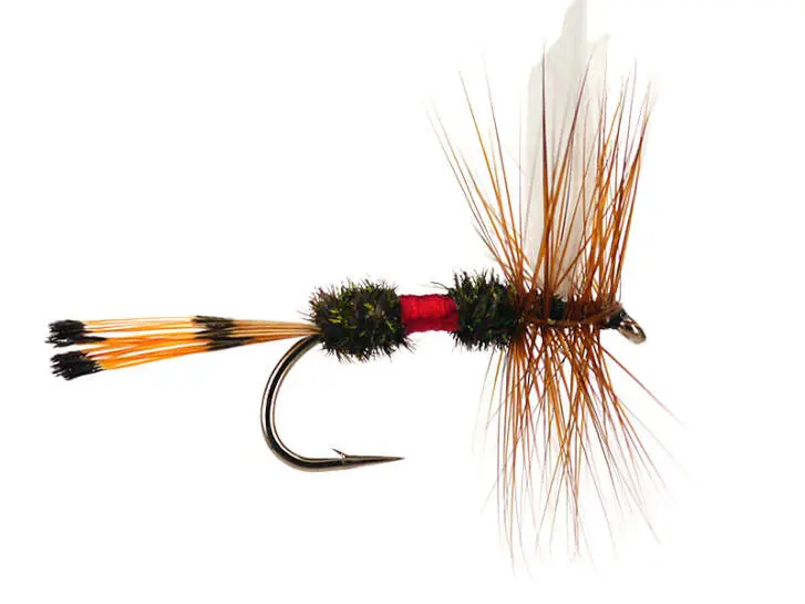 Royal Coachman 16