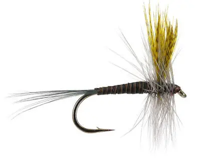 Quill Gordon 14