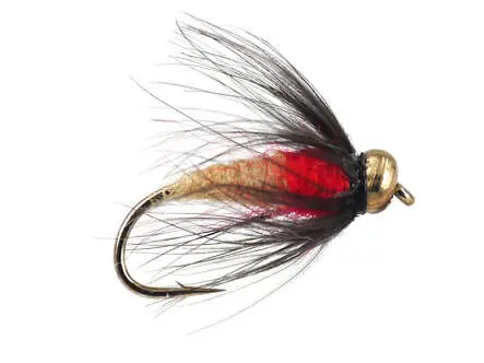 Sedge Pupa 10