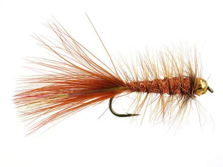 W.B. Bright Brown Competition 10