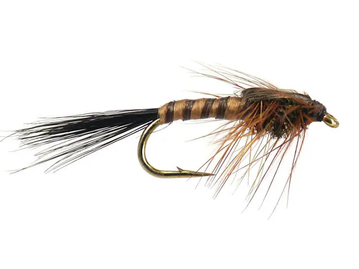 March Brown 12