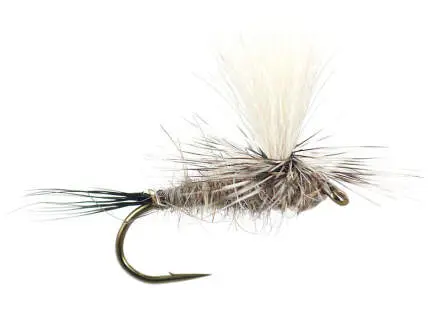 Hares Ear Parachute Superb 14