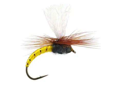 Klinkhammer Yellow 14
