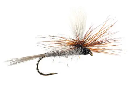 Adams Parachute 16