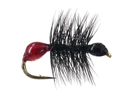 Hard Body Bicoloured Red Black Ant 14