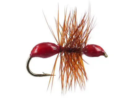Hard Body Red Ant 14