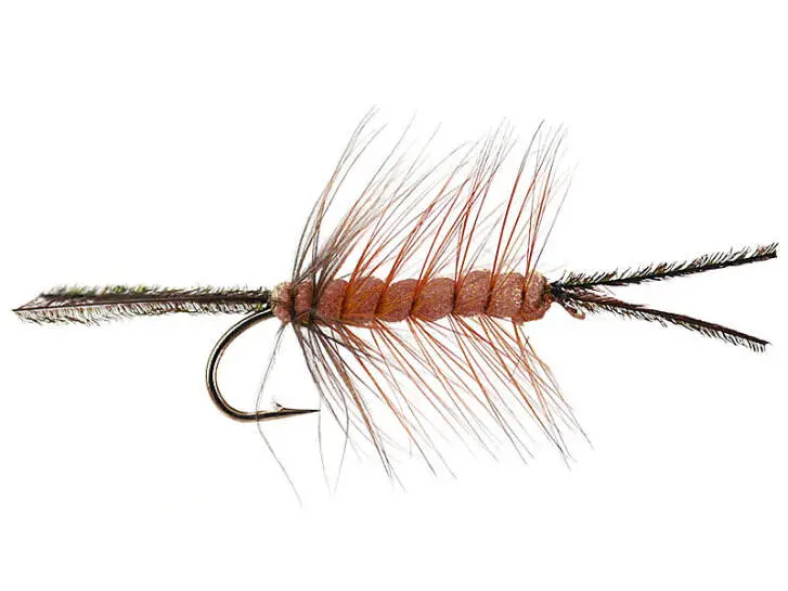 Foam Cata Pillar Brown 10
