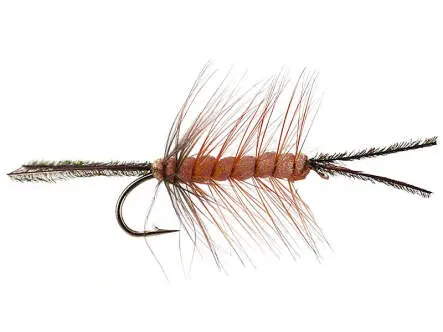 Foam Cata Pillar Brown 12