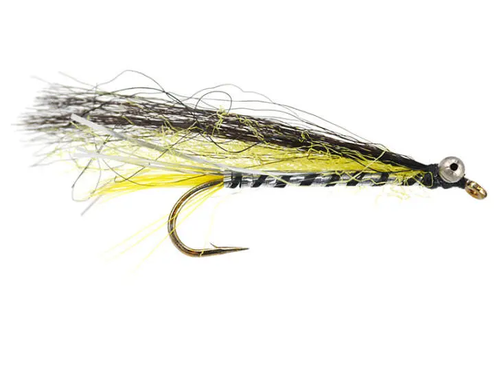 Black Body Trout 2