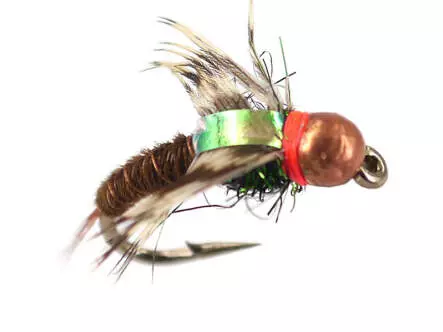 TG Toms Competition Nymph Gold 12