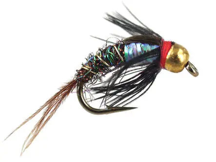 Ales TG Rainbow Pheasant 12