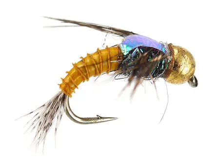 TG Golden Quill 10